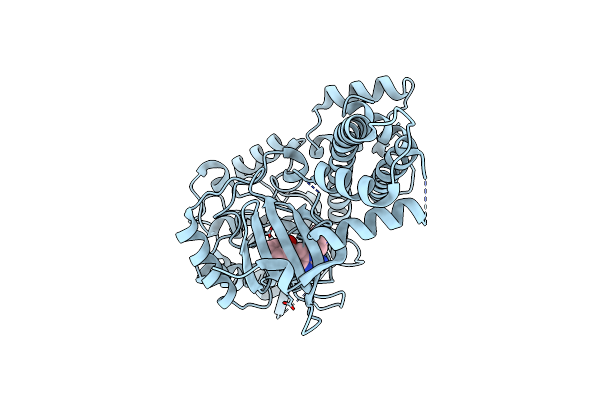 3UPX image