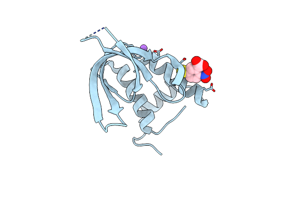 3URG image
