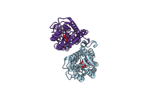 3URM image