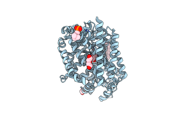 3USG image