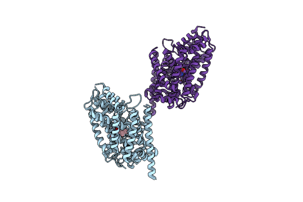 3USI image