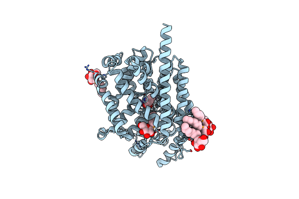 3USP image