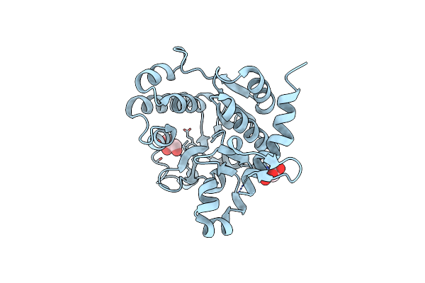 3USQ image