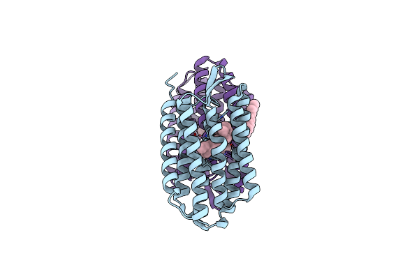 3UTX image