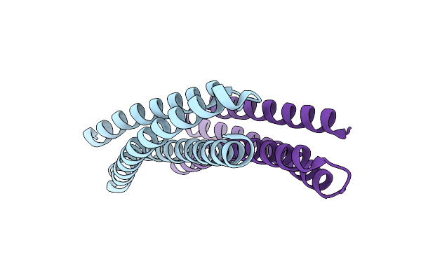 3UUN image