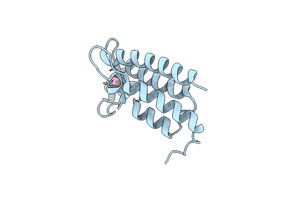 3UVD image