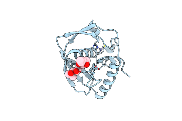 3UWA image