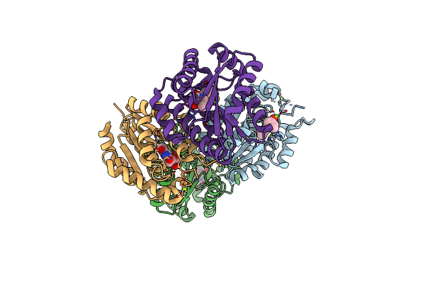 3UXM image