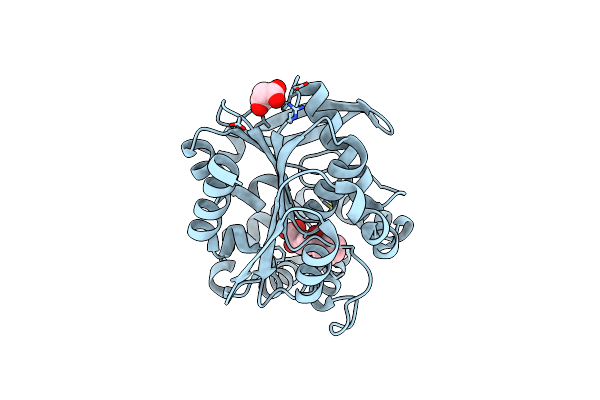 3V1M image