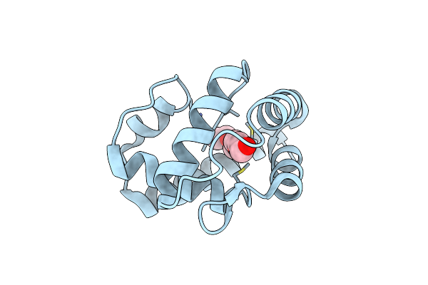 3V2L image