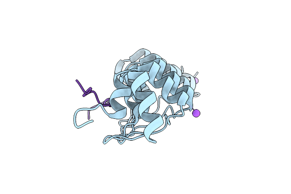 3V31 image