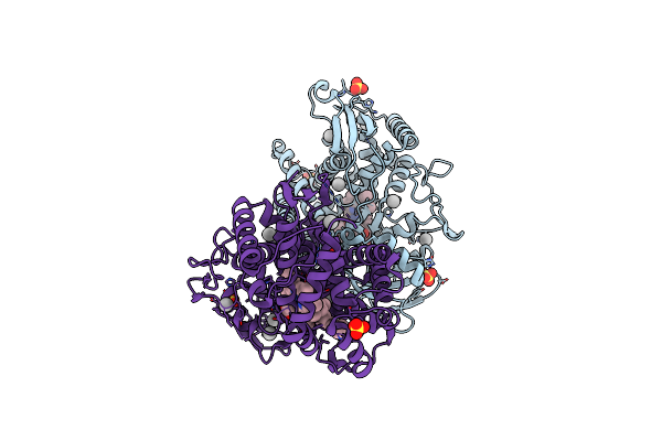 3V8D image