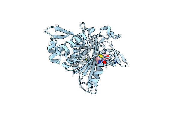 3V8K image