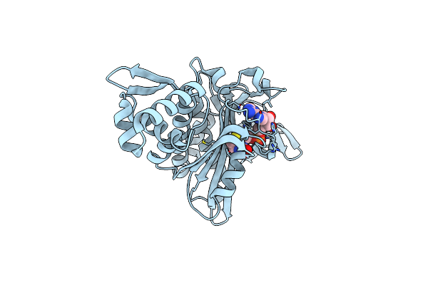 3V8L image