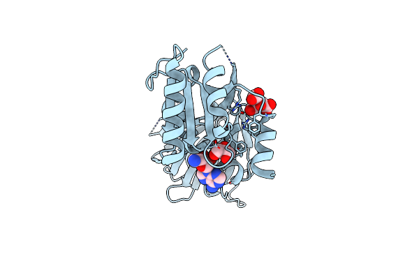 3V8Q image
