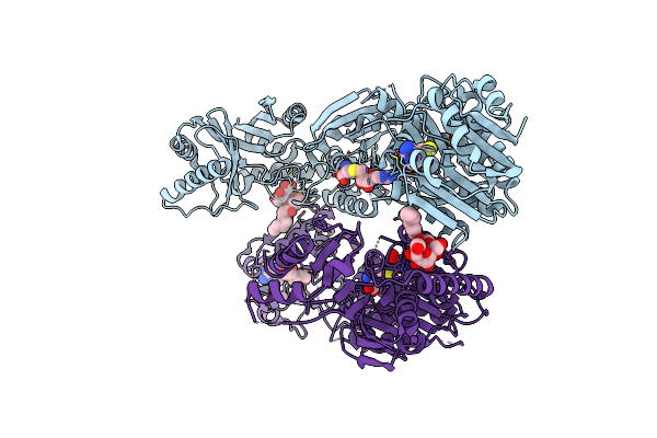 3V8V image
