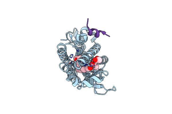 3V9V image