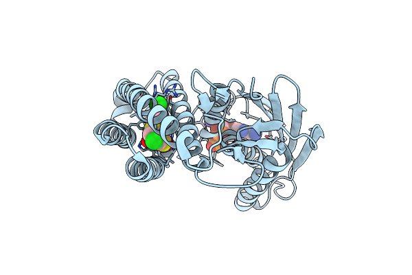 3VAD image