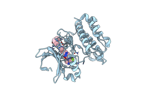 3VAP image