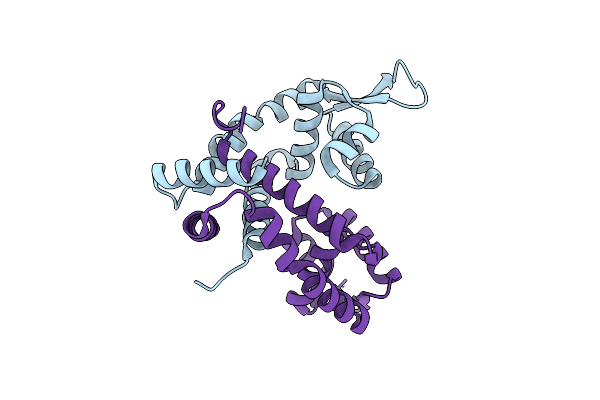 3VB2 image