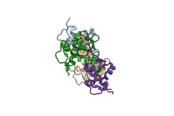 3VBG image