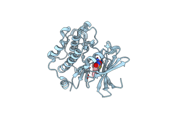 3VBQ image