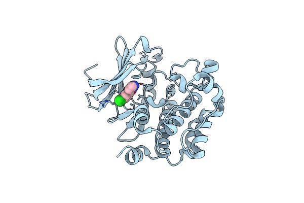 3VBT image