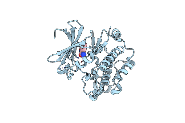 3VBV image