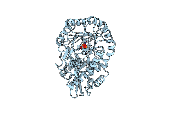3VC5 image