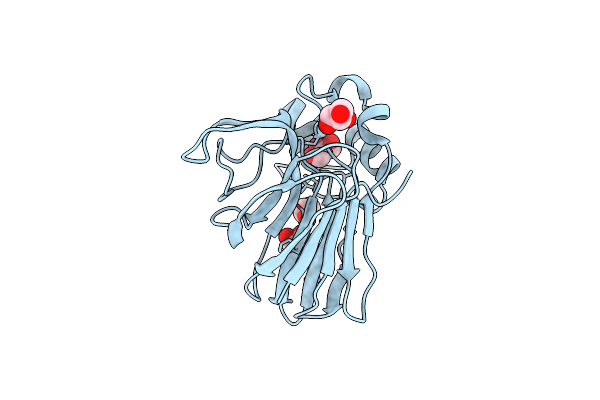 3VCH image