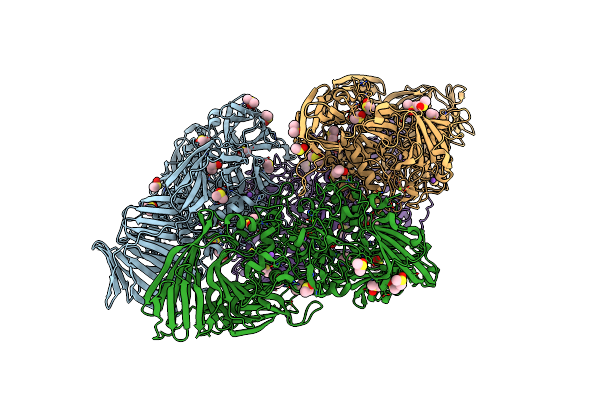 3VD3 image