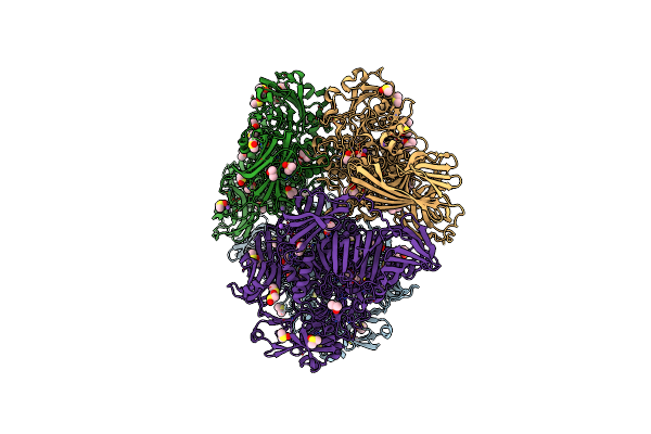 3VDB image