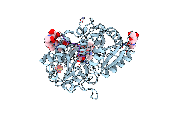 3VDF image