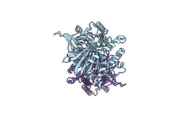 3VDM image