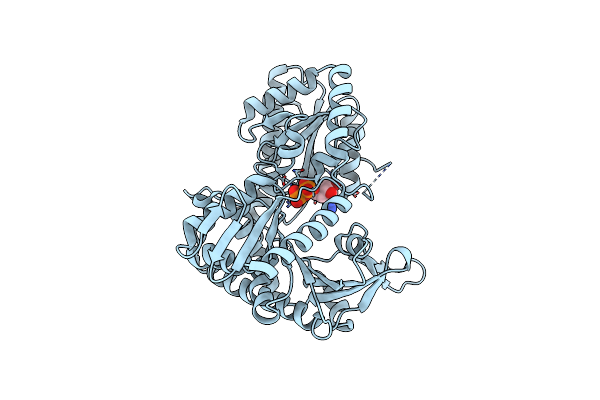 3VDN image
