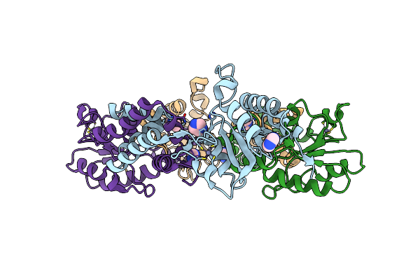 3VDP image