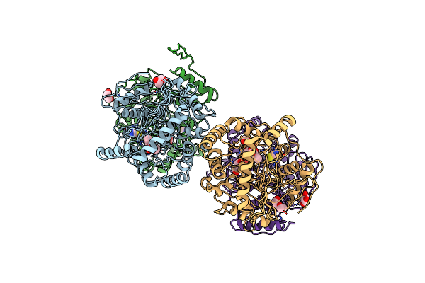 3VEH image