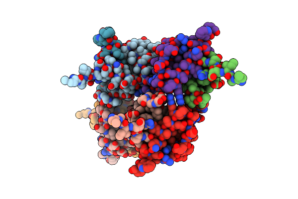 3VEP image