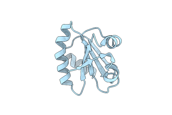 3VFI image