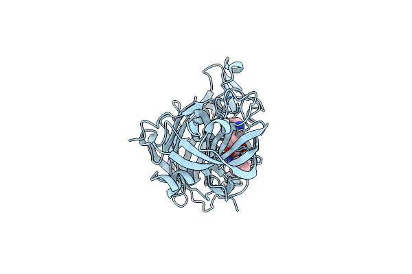 3VG1 image