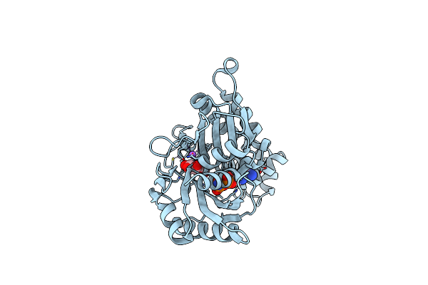 3VGL image