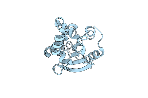 3VGP image