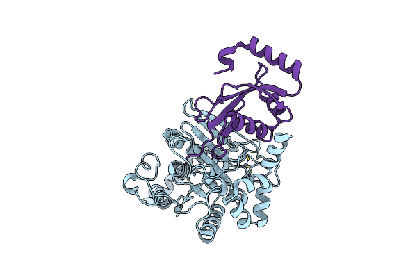 3VH3 image