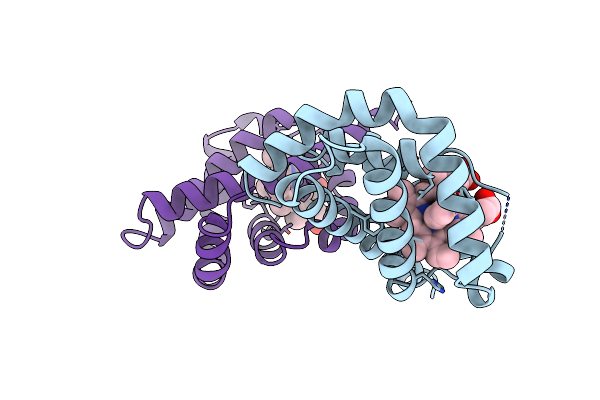3VHB image