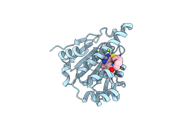 3VHC image