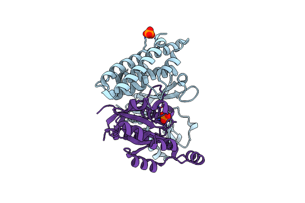 3VHL image