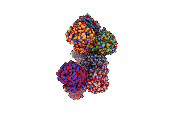 3VHN image