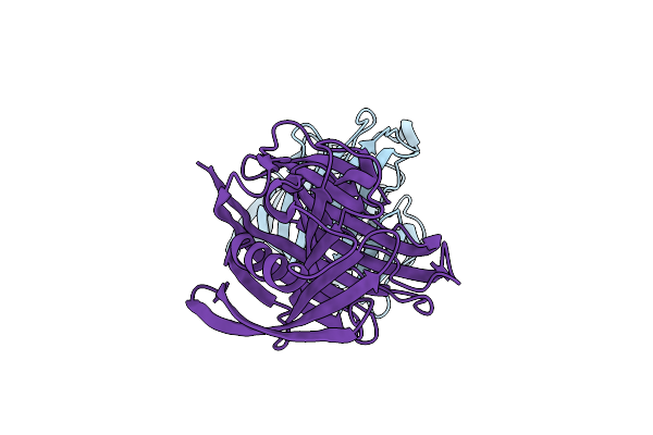3VHO image