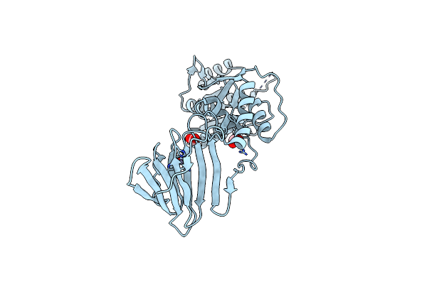 3VHR image