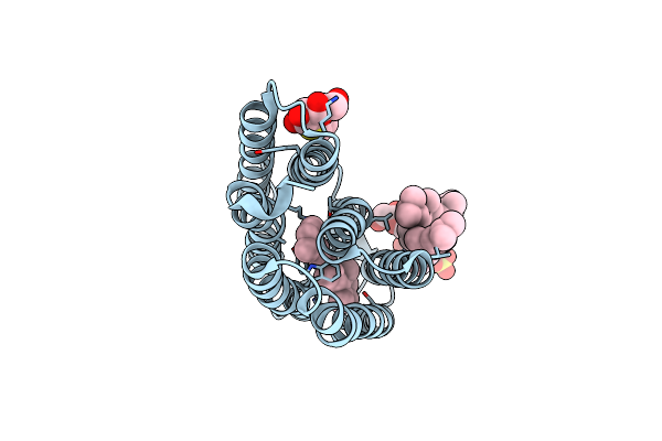 3VI0 image